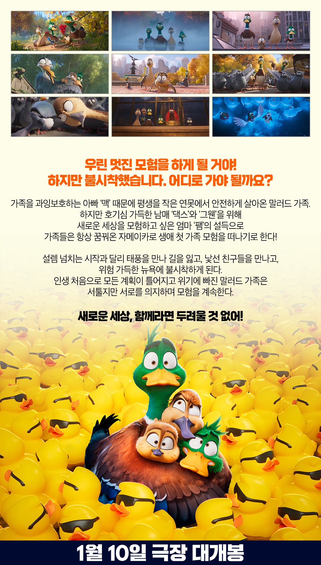 MEET PLAY SHARE, 메가박스 [메가박스]<인투 더 월드> 앵콜! 메가박스 회원시사